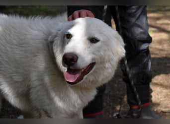 Florenz - bereit für das Abenteuer Leben