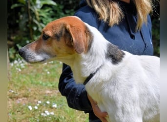 Kamyll - Findet er Sie...