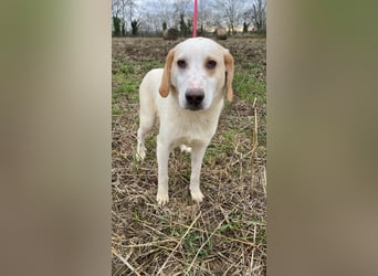 Deddy -  Mit neugierigen Pfoten ins Leben