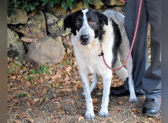 Jessie - Wer nicht neugierig ist, erfährt nichts