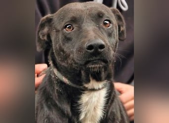 Rhino - NOTFALL !!! - Wenn man nicht auffällt, geht man unter