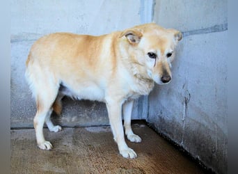 Addison - lange sitzen sie schon da und haben es schwer