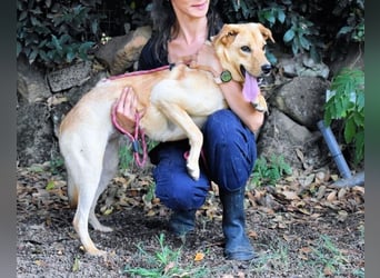 Lilyrose - als kleine Muschel ins Glück!