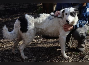 Marni - Bereit für ihr eigenes kleines Glück