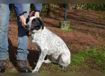 Flicka - möchte noch viel erleben