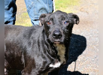 Rhino - NOTFALL !!! - Wenn man nicht auffällt, geht man unter