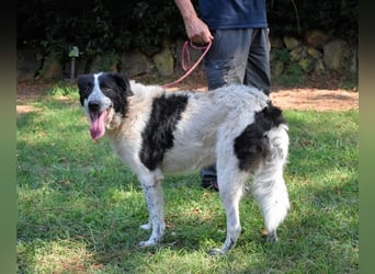 Jessie - Wer nicht neugierig ist, erfährt nichts