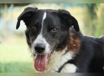 Coraggio - Schritt für Schritt ins Leben zurück