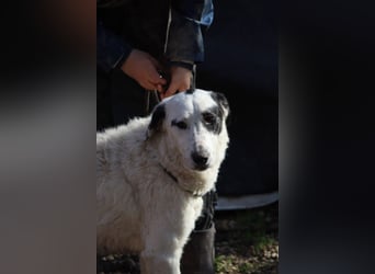 Marni - Bereit für ihr eigenes kleines Glück