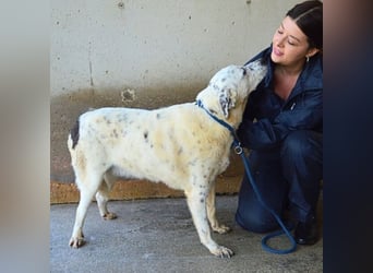 Arunny - aller guten Dinge sind drei