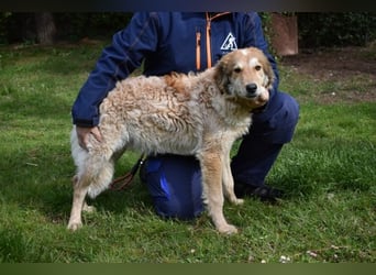 Ligorio - Zwölf, elf, zehn ... eins - Ligorio