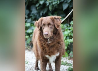 Beckey - Berufswunsch Prinzessin