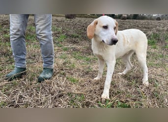 Deddy -  Mit neugierigen Pfoten ins Leben