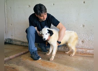 Rylando - Ein Anfang, der nie kam