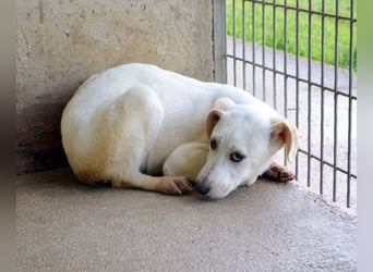 Radford - Ein Anfang, der nie kam