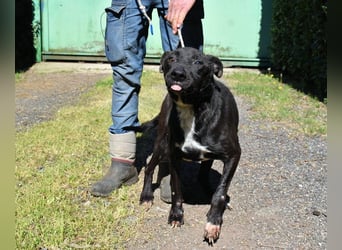 Rhino - NOTFALL !!! - Wenn man nicht auffällt, geht man unter