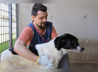 Lorianne - Diplomierte Zuhörerin sucht Sofa & Sonne