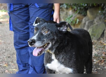 Elowen - eine Tänzerin im Mondlicht, bis die Sonne die Träume verjagt