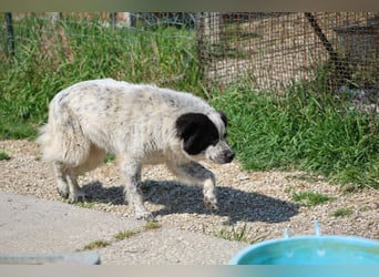 Giulietta - manche Seelen brauchen einfach etwas länger