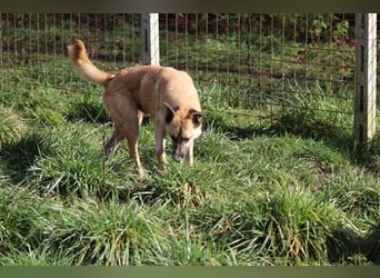 Life - Life will mehr vom Leben - und das zeigt er deutlich!