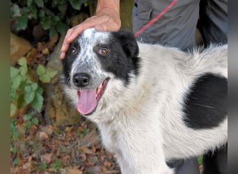 Jasmine - Wer nicht neugierig ist, erfährt nichts!