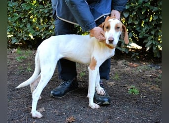 Samarie - Abenteuerlust und Kuschelzeit