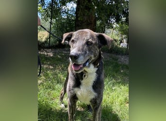 Lola - Das Herz hat seine Gründe