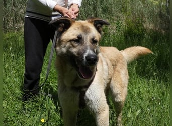 Life - Life will mehr vom Leben - und das zeigt er deutlich!