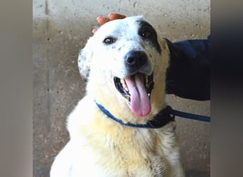 Arunny - aller guten Dinge sind drei