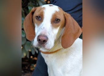 Samarie - Abenteuerlust und Kuschelzeit