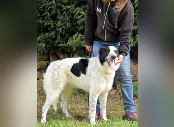 Jasmine - Wer nicht neugierig ist, erfährt nichts!