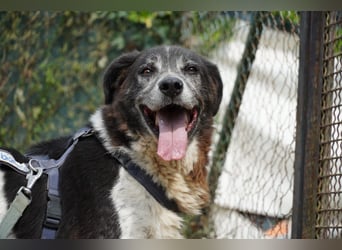 Cambiamento - lasst uns sein Leben verändern