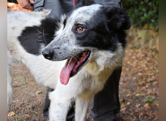 Jasmine - Wer nicht neugierig ist, erfährt nichts!