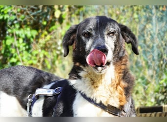 Cambiamento - lasst uns sein Leben verändern