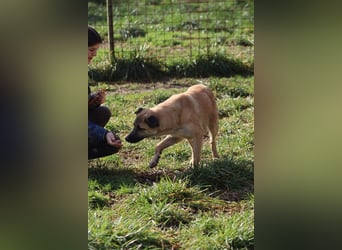 Life - Life will mehr vom Leben - und das zeigt er deutlich!