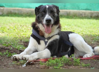 Coraggio - Schritt für Schritt ins Leben zurück