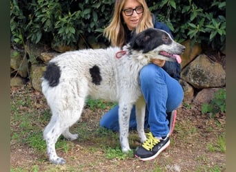 Jessie - Wer nicht neugierig ist, erfährt nichts