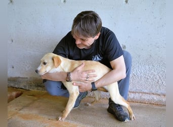 Rodrigue - Ein Anfang, der nie kam