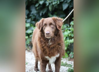 Beckey - Berufswunsch Prinzessin