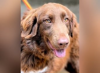 Beckey - Berufswunsch Prinzessin