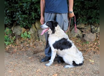 Jessie - Wer nicht neugierig ist, erfährt nichts