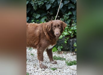 Beckey - Berufswunsch Prinzessin