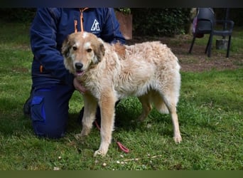 Ligorio - Zwölf, elf, zehn ... eins - Ligorio