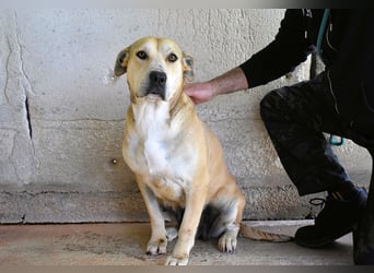 Oxira - Aus «wollen» wird «können»