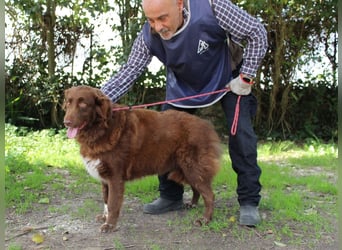 Beckey - Berufswunsch Prinzessin