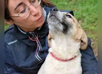 Solidea - 744 Stunden