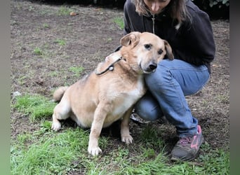 Kairo - möchte einfach nur genießen