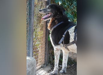 Cambiamento - lasst uns sein Leben verändern