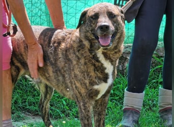 Ludwig - Nur Mädchen erlaubt