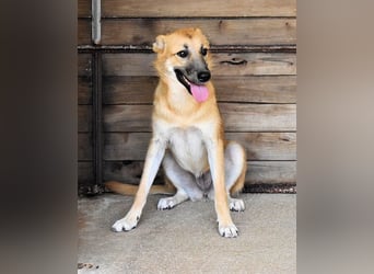 Osita - "Und wenn sie nicht weg sind.....